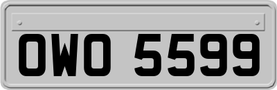 OWO5599