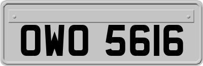 OWO5616