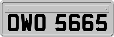 OWO5665