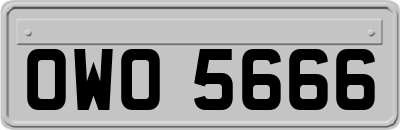 OWO5666