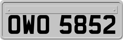 OWO5852