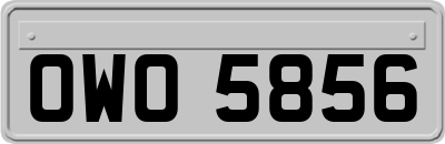 OWO5856