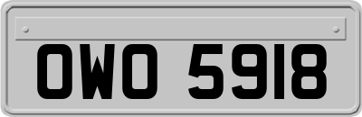 OWO5918