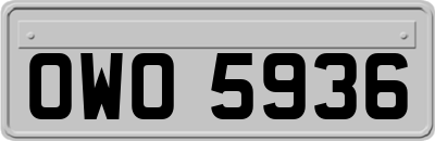 OWO5936