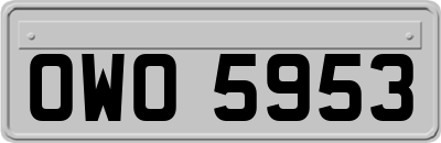 OWO5953