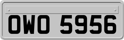OWO5956