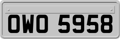 OWO5958