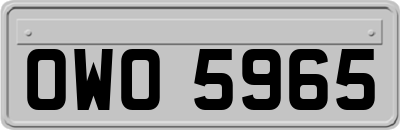 OWO5965
