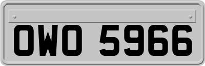 OWO5966