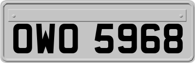 OWO5968