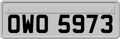 OWO5973