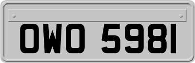 OWO5981