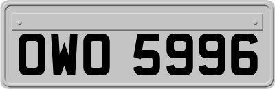 OWO5996
