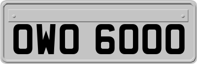 OWO6000