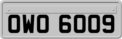 OWO6009