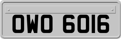 OWO6016
