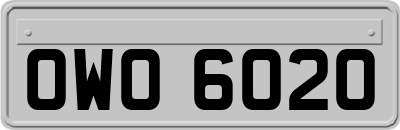 OWO6020