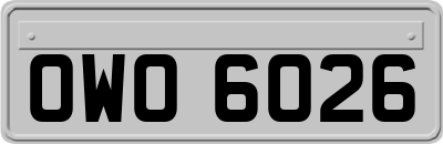 OWO6026