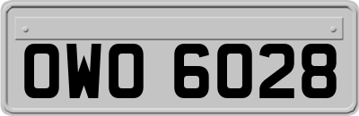 OWO6028