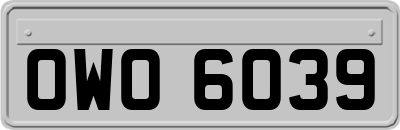 OWO6039