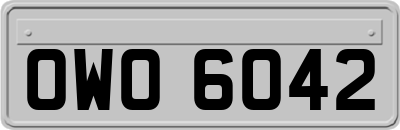OWO6042