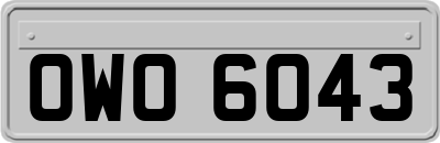 OWO6043