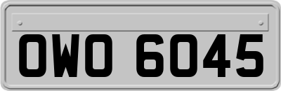 OWO6045