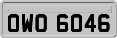 OWO6046