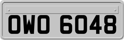 OWO6048