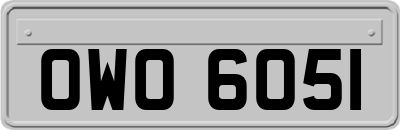 OWO6051