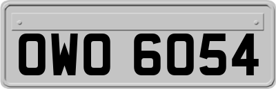 OWO6054