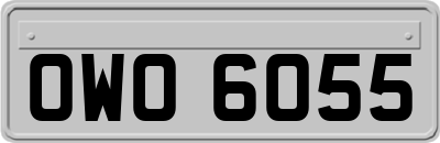 OWO6055