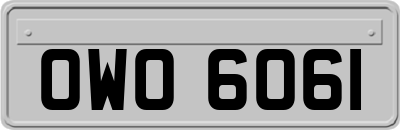 OWO6061