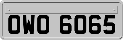 OWO6065