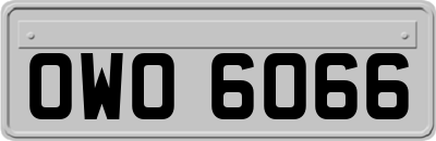 OWO6066