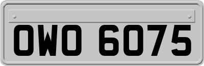 OWO6075