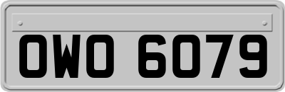 OWO6079