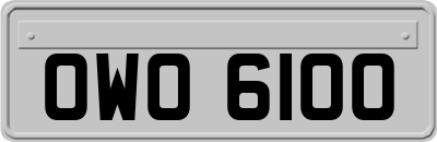 OWO6100