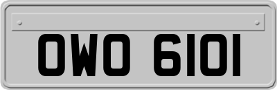 OWO6101