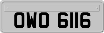 OWO6116