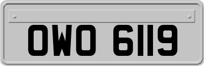 OWO6119