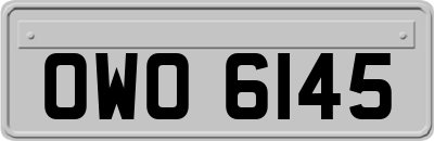 OWO6145