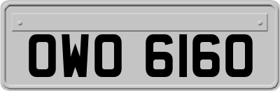 OWO6160