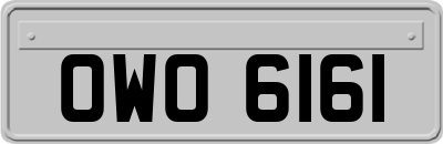 OWO6161