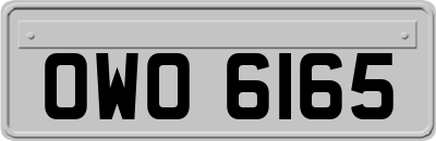 OWO6165