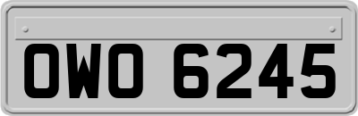 OWO6245
