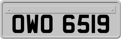 OWO6519