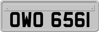 OWO6561