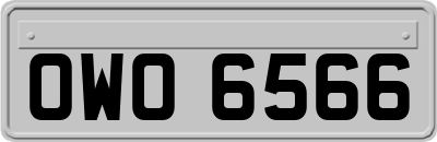 OWO6566