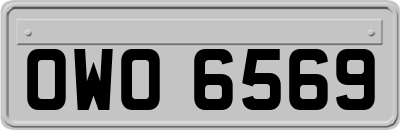 OWO6569